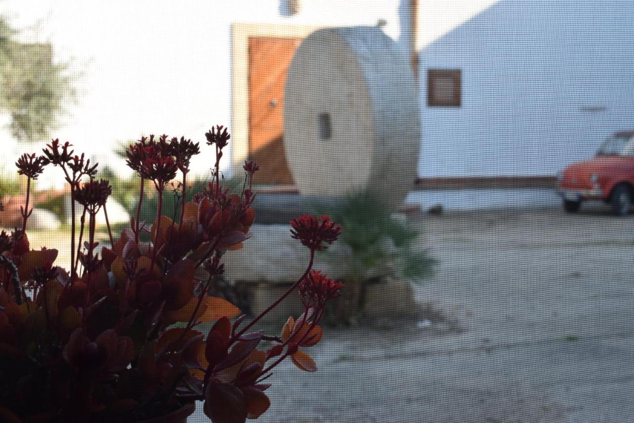 Casa Dell'Olio - Al Baglio Villa Paceco Luaran gambar