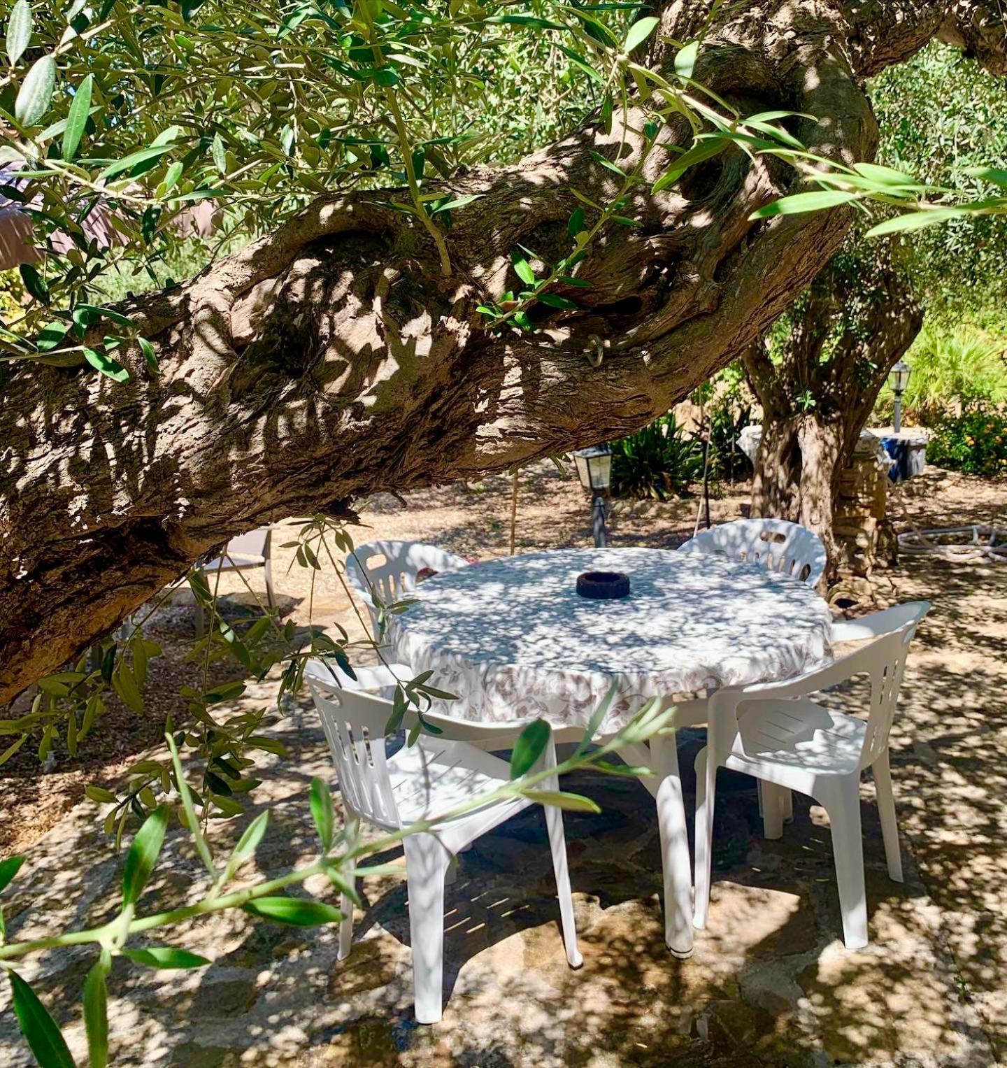 Casa Dell'Olio - Al Baglio Villa Paceco Luaran gambar